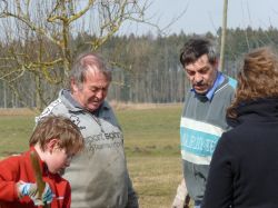 Baumschnittaktion  2010 08